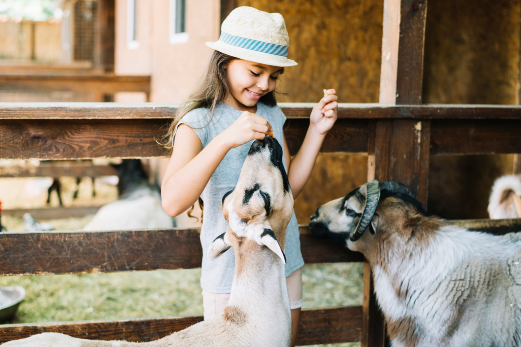 PT- MY JSME MALÍ CHOVATELÉ