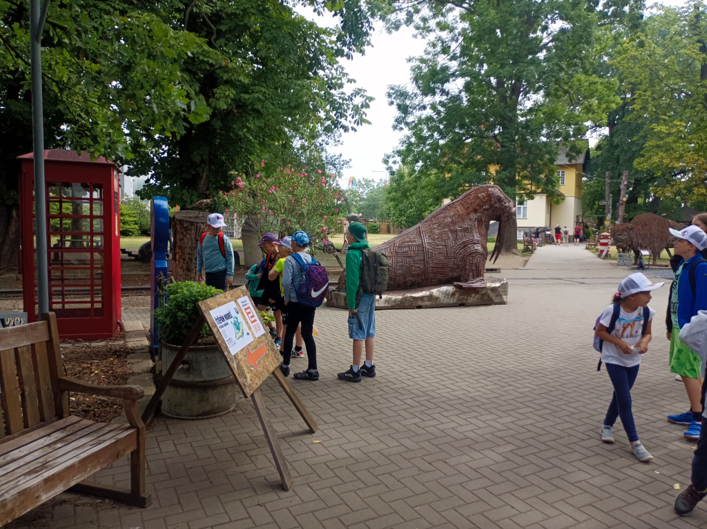 IMG_20260707_100333.jpg