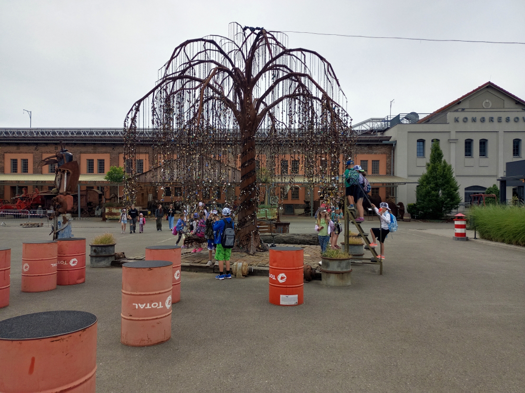 IMG_20260707_101714.jpg