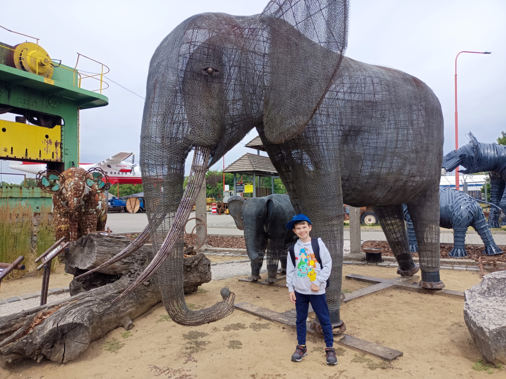 IMG_20260707_102019.jpg