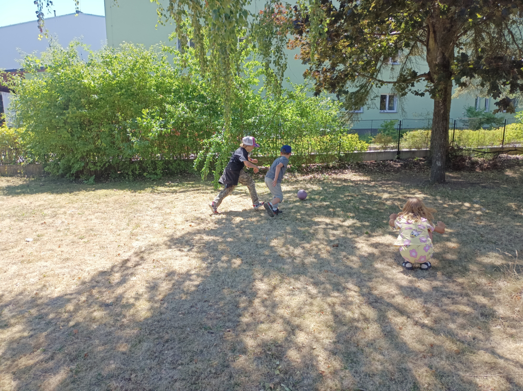 IMG_20260708_124045.jpg