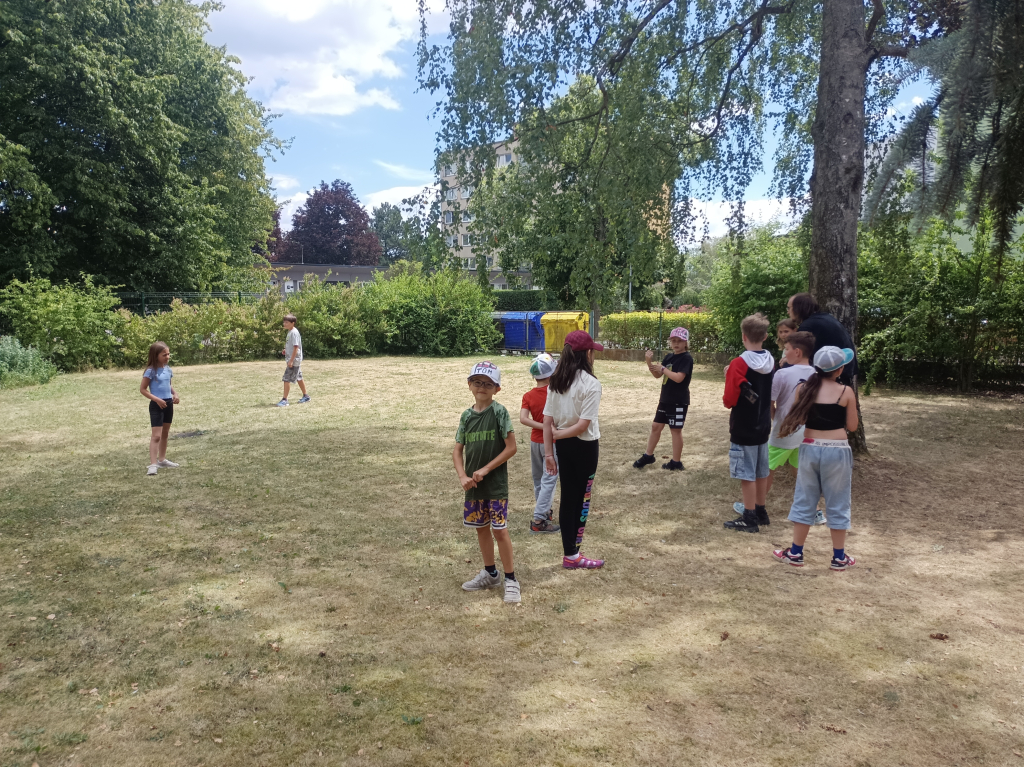 IMG_20260710_124717.jpg