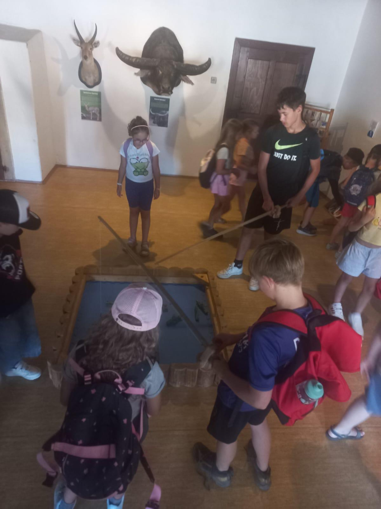 46a2957e-ad13-4767-82d5-f5646f2fd090.jpeg