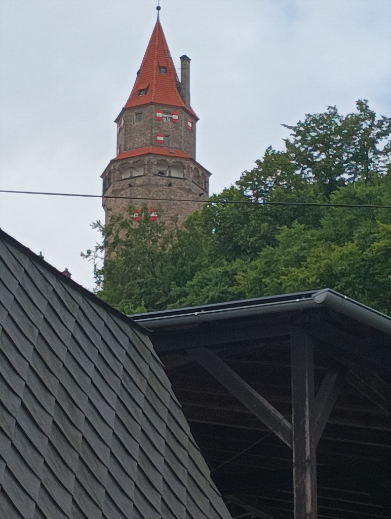 IMG_20260723_091826.jpg