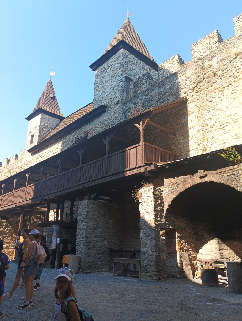 IMG_20260804_100717.jpg