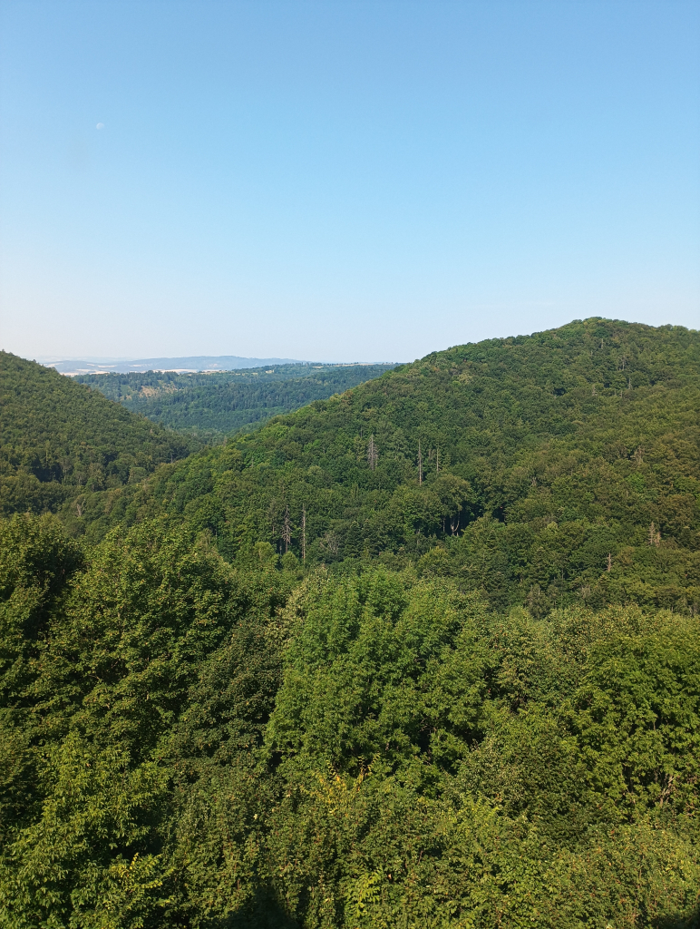 IMG_20260804_102134.jpg