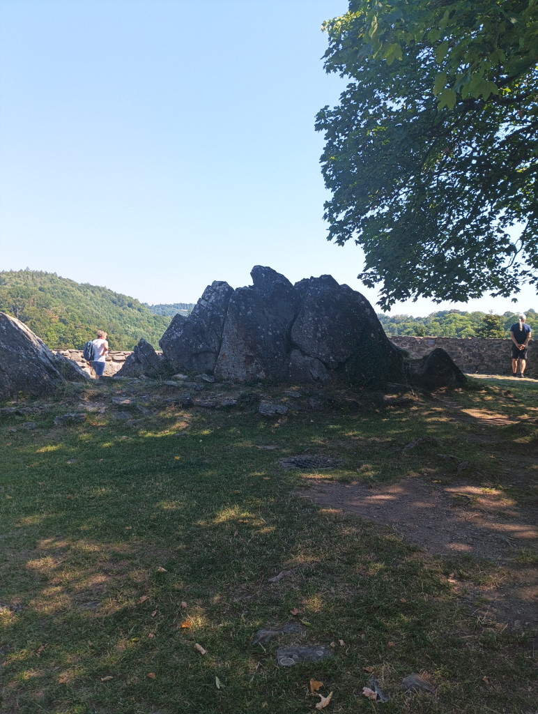 IMG_20260804_104055.jpg