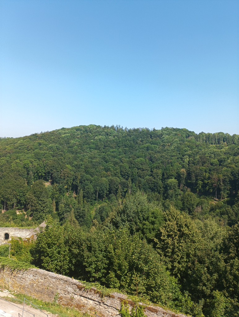 IMG_20260804_104149.jpg