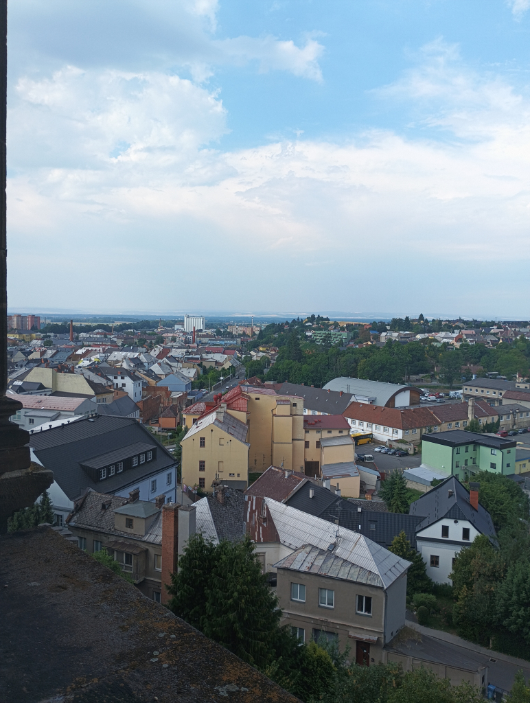 IMG_20260806_101019.jpg