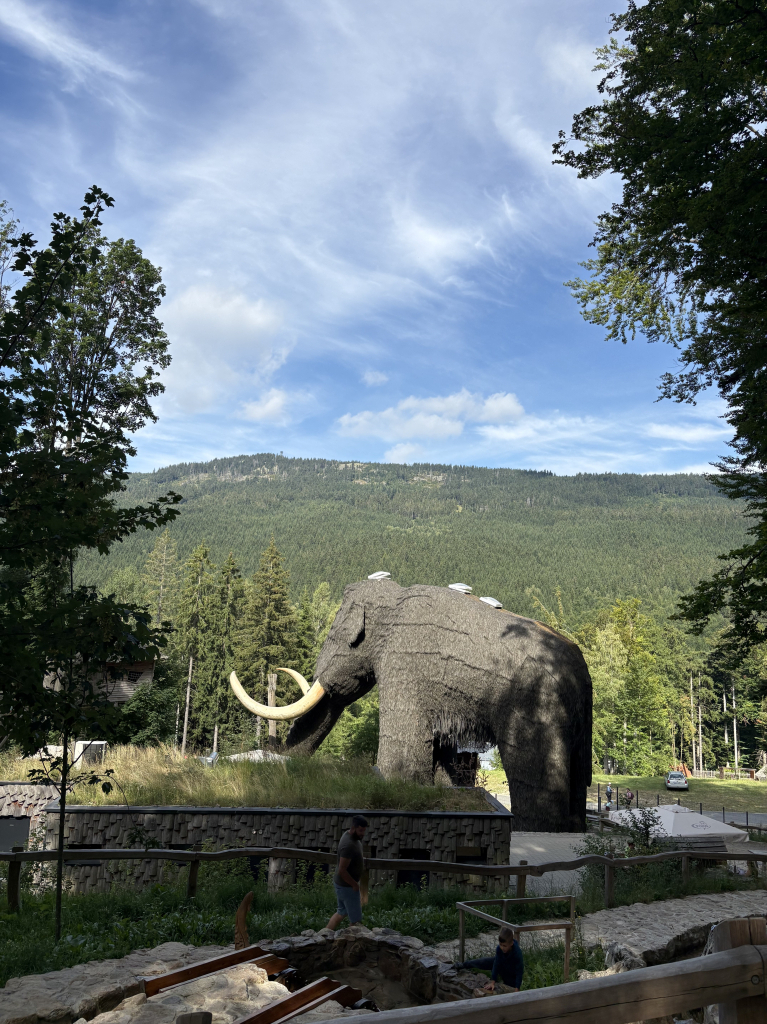 IMG_1737.jpeg