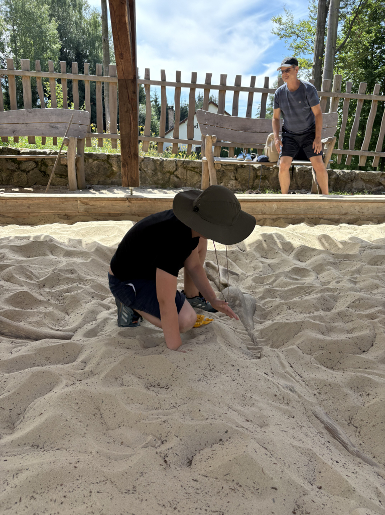 IMG_1814.jpeg