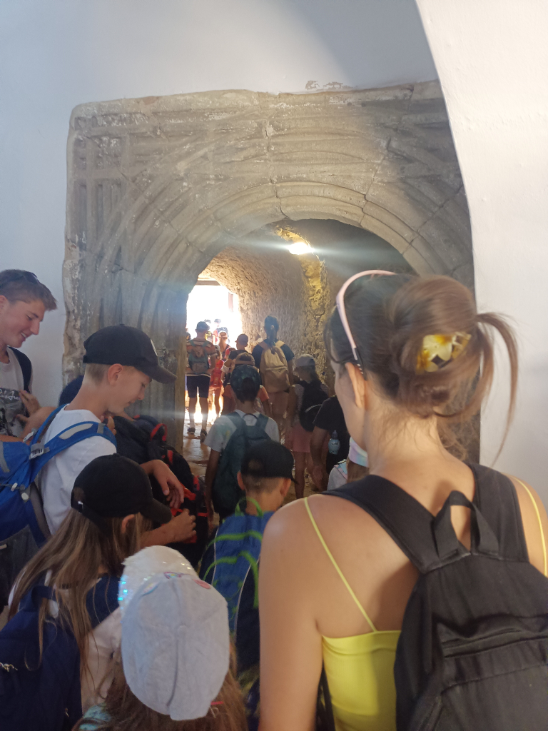 IMG_20260804_103905.jpg