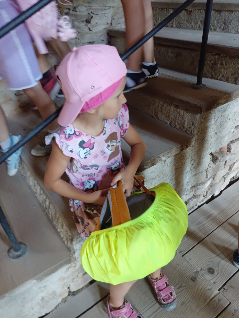IMG_20260804_110449.jpg