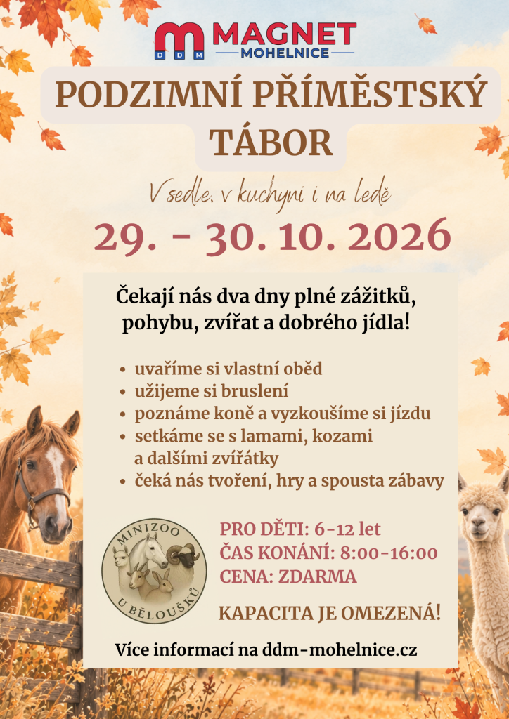 Podzimní příměstský tábor: V sedle, v kuchyni i na ledě