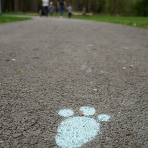 DSC01495.jpg