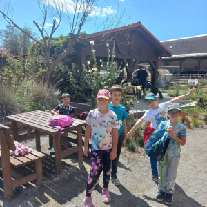 185096E7-0BBB-441F-9C1E-72E203E6B83B.jpeg