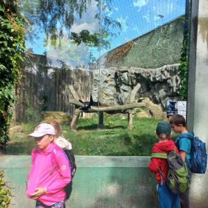 EF217822-B323-481C-A004-84381B75D969.jpeg