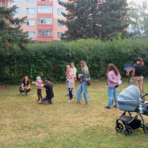 IMG20250912165255.jpg