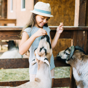 PT- MY JSME MALÍ CHOVATELÉ