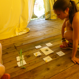 P1180179.jpg