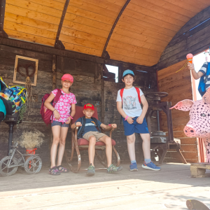 IMG_20230711_114511.jpg